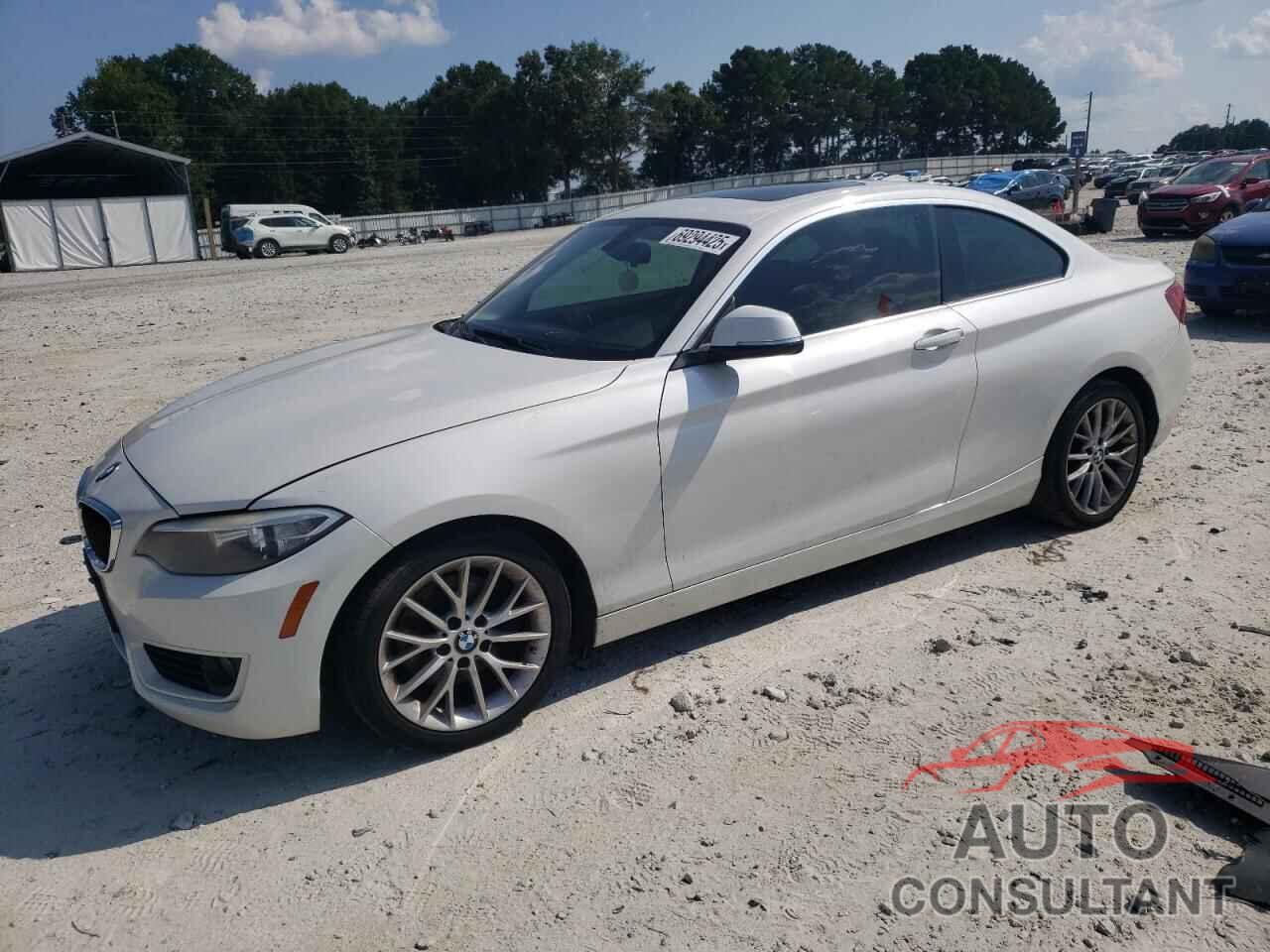 BMW 2 SERIES 2014 - WBA1F5C51EV246019