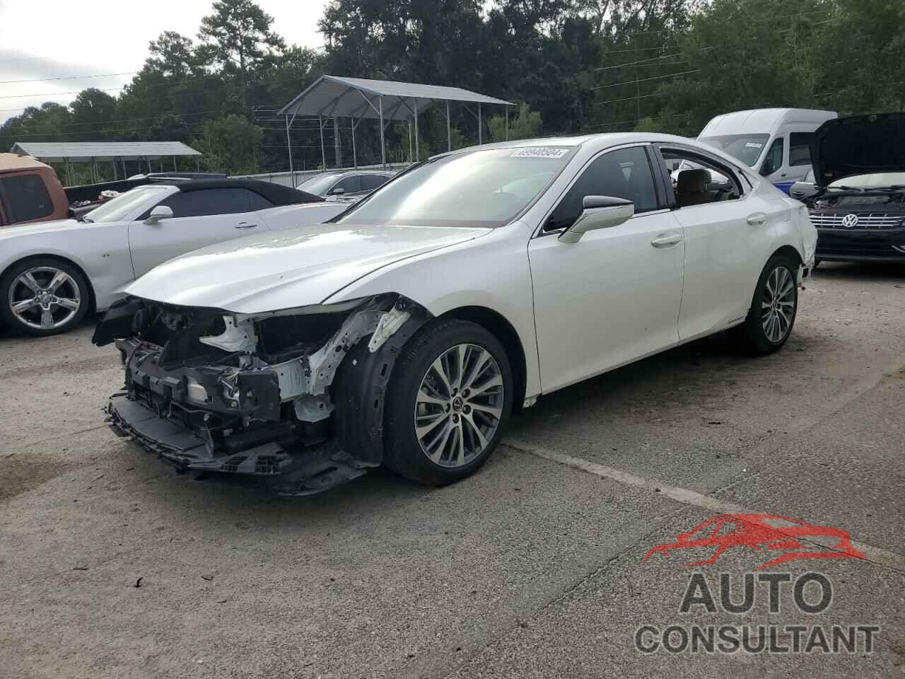 LEXUS ES300 2021 - 58ADA1C11MU001203