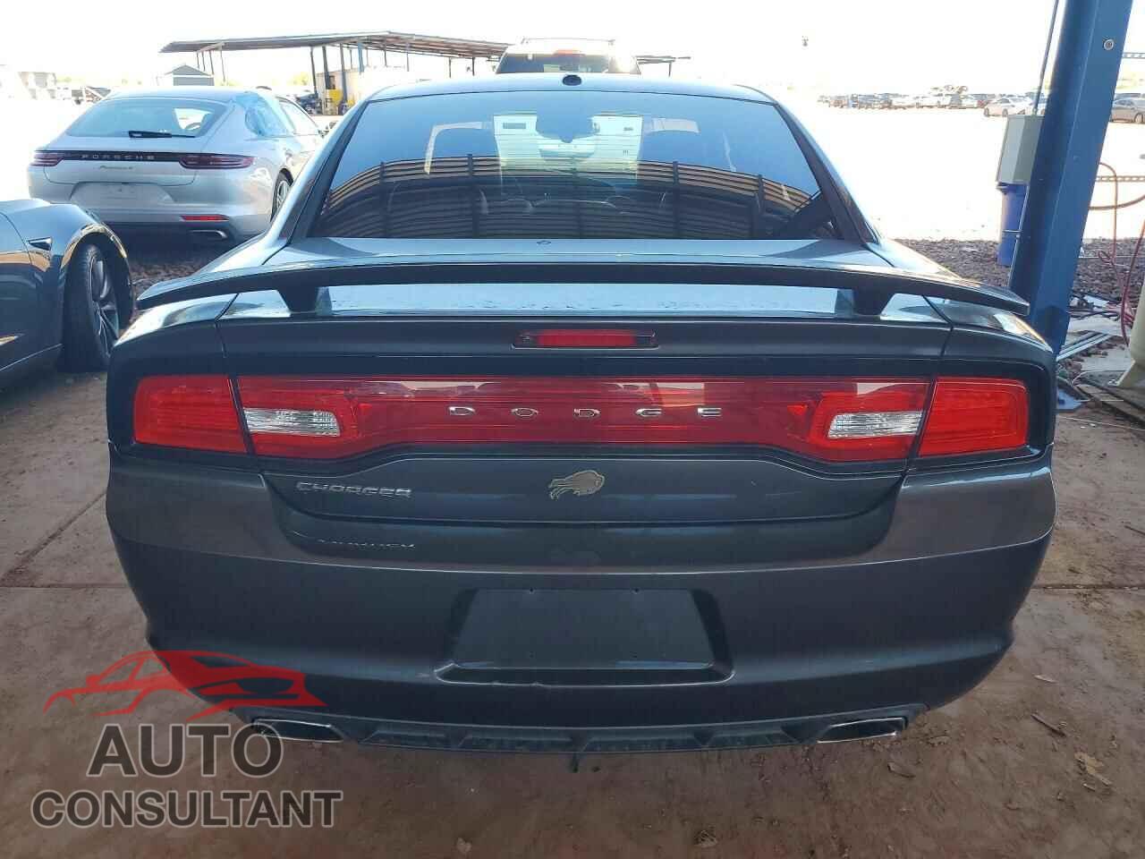 DODGE CHARGER 2014 - 2C3CDXHG5EH295437
