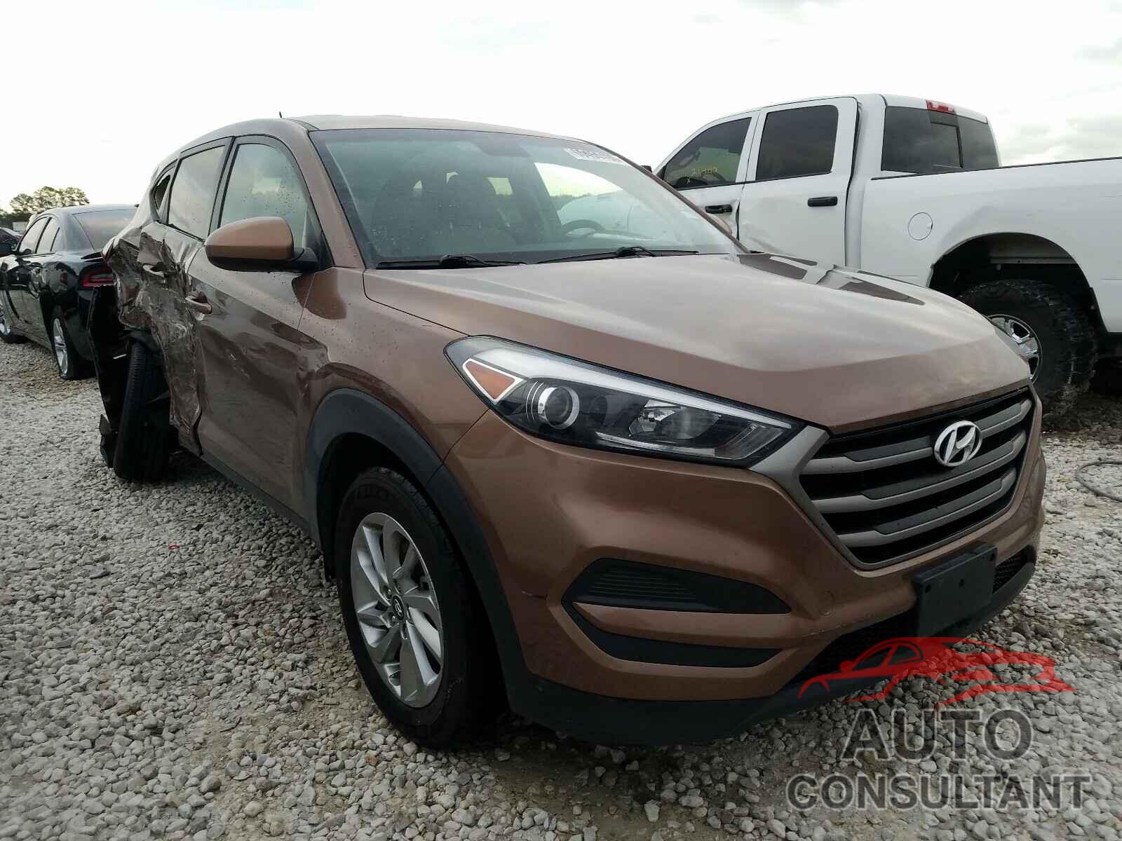 HYUNDAI TUCSON 2016 - KM8J23A42GU211622
