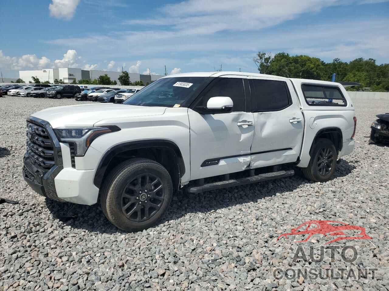 TOYOTA TUNDRA 2023 - 5TFNA5DB6PX097041
