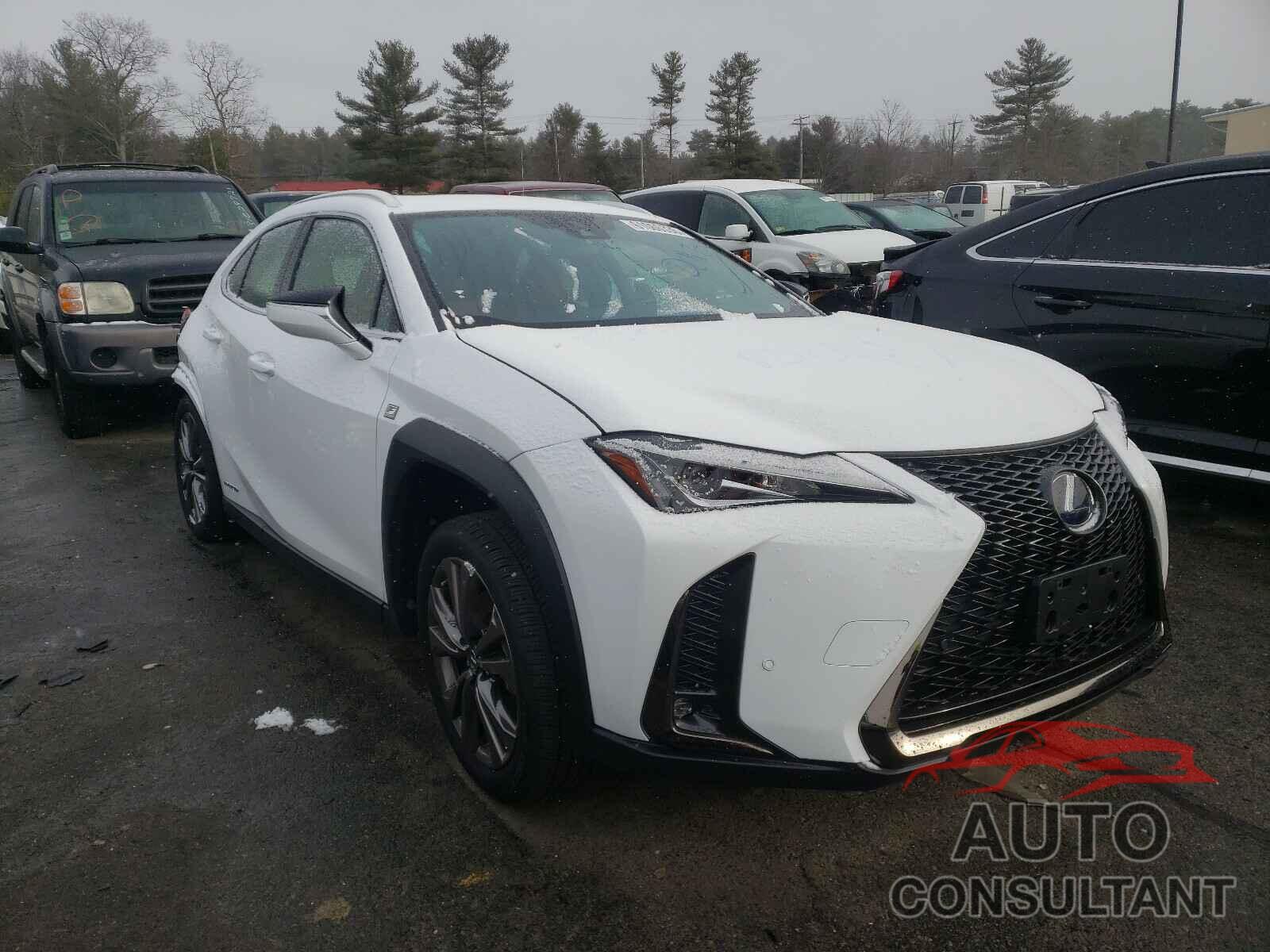 LEXUS UX 250H 2020 - JTHR9JBH6L2023683