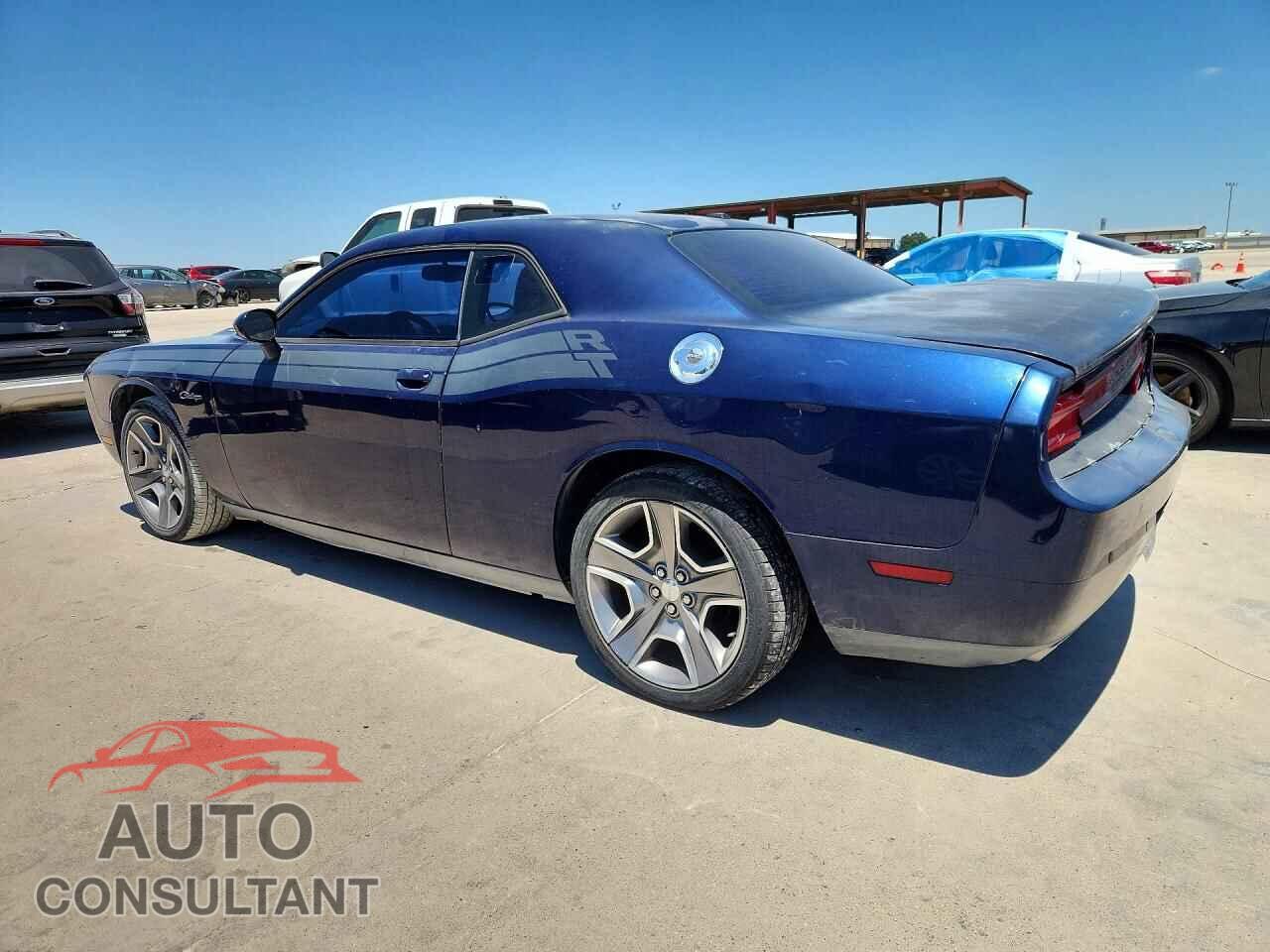 DODGE CHALLENGER 2013 - 2C3CDYBTXDH565997