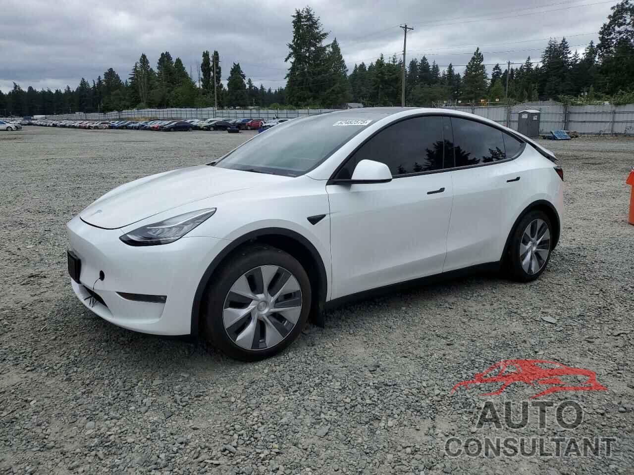 TESLA MODEL Y 2023 - 7SAYGAEE2PF598258