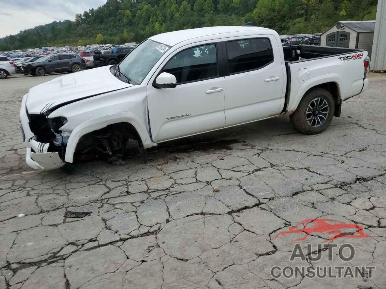 TOYOTA TACOMA 2023 - 3TMCZ5AN3PM551900