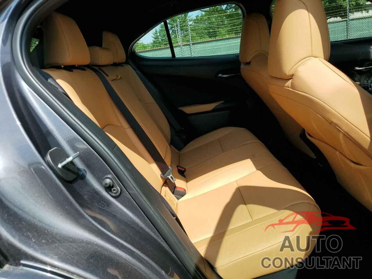 LEXUS UX 300H BA 2025 - JTHUCJDH7S2000551