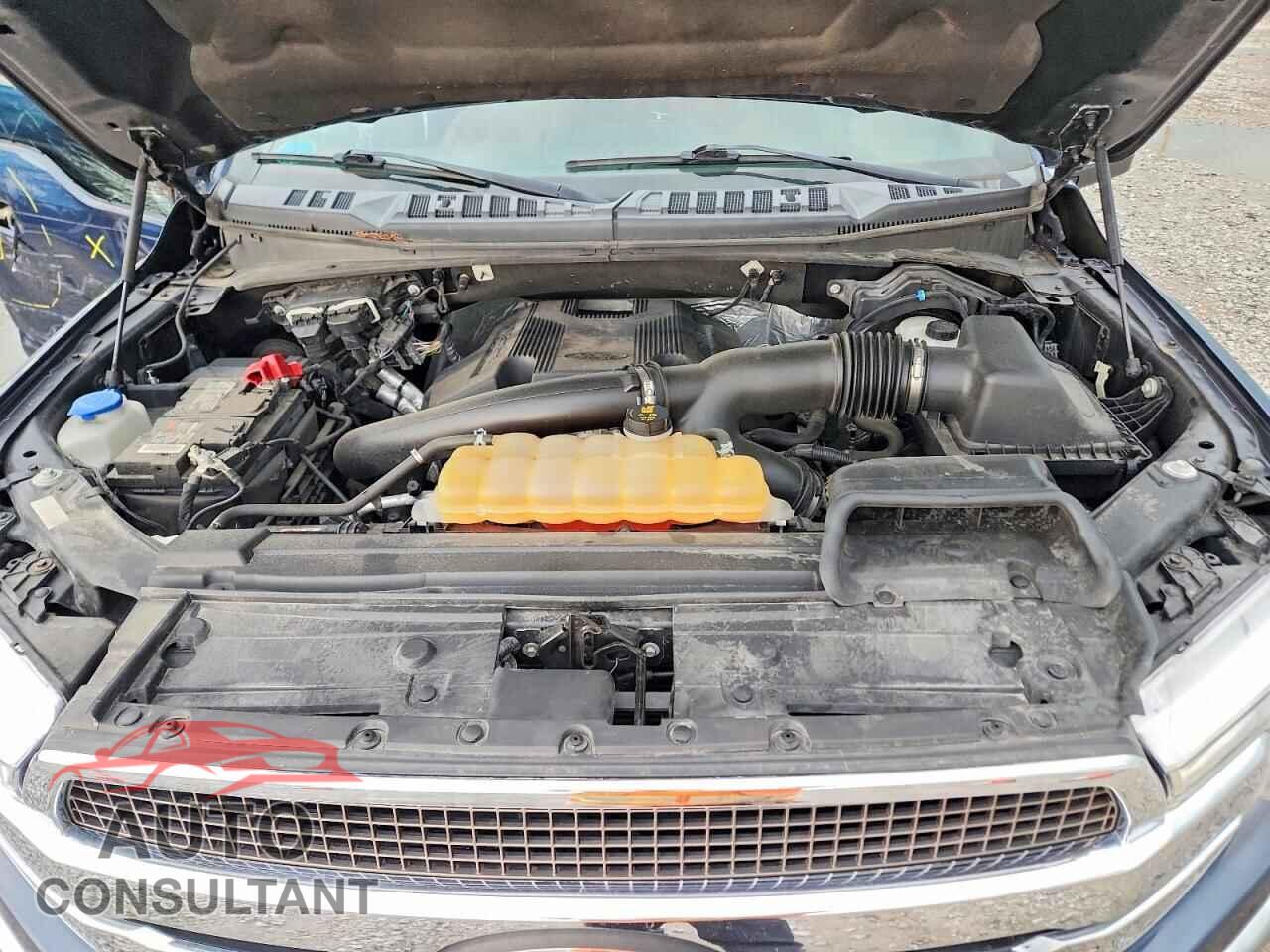 FORD F150 2019 - 1FTEW1E45KFA77355