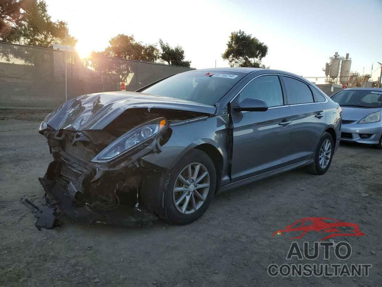 HYUNDAI SONATA 2019 - 5NPE24AF8KH784833