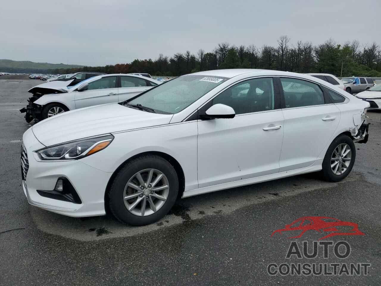 HYUNDAI SONATA 2019 - 5NPE24AF3KH748354