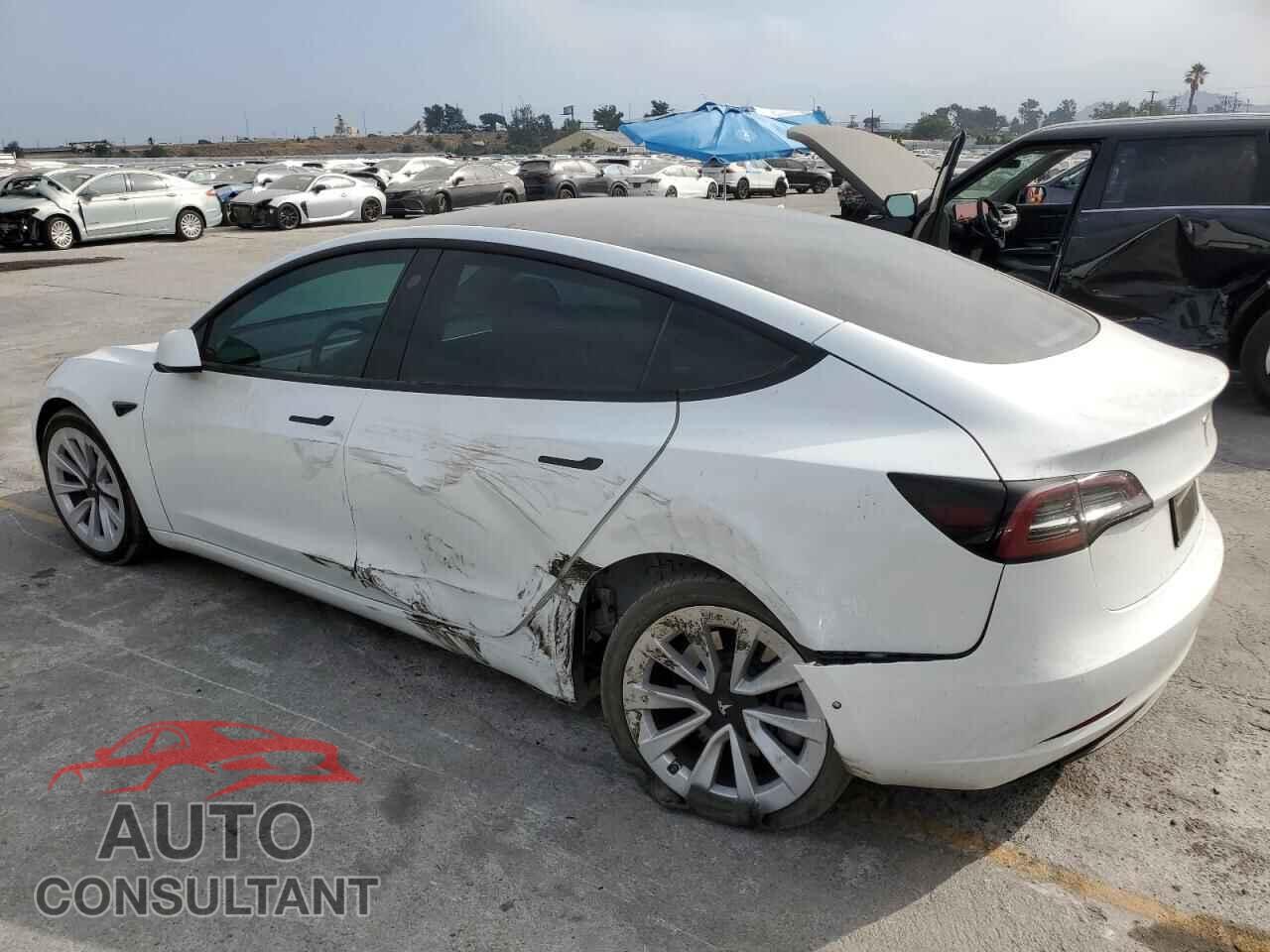 TESLA MODEL 3 2022 - 5YJ3E1EB5NF361246