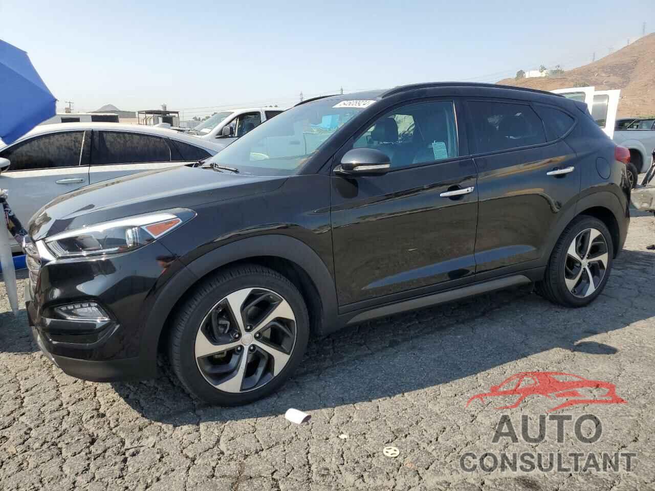 HYUNDAI TUCSON 2016 - KM8J33A20GU123535