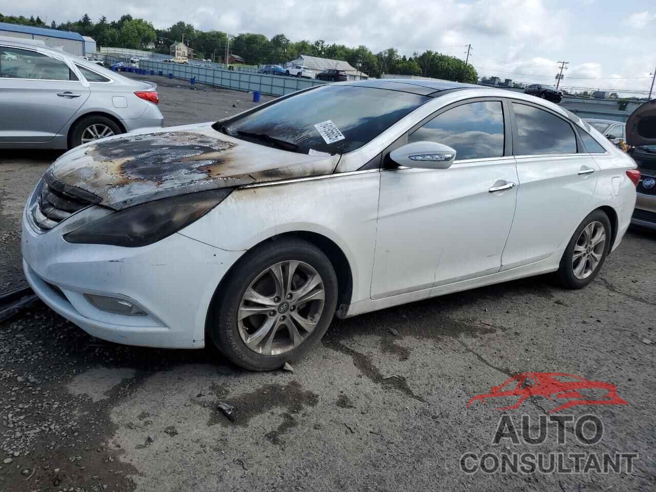 HYUNDAI SONATA 2013 - 5NPEC4AC8DH699139