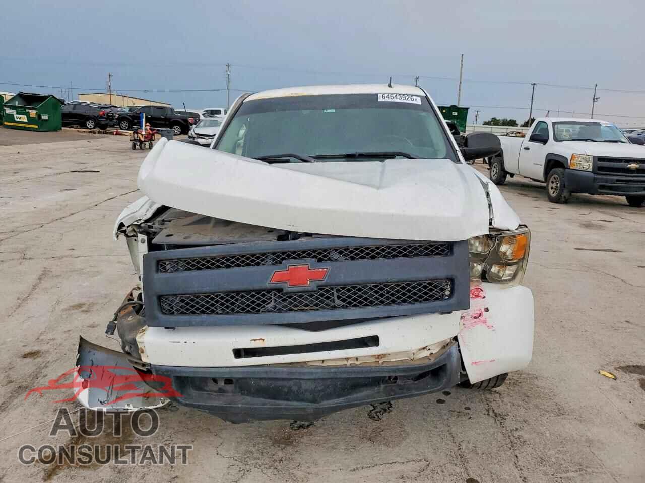 CHEVROLET SILVERADO 2010 - 1GCSCSE04AZ149545