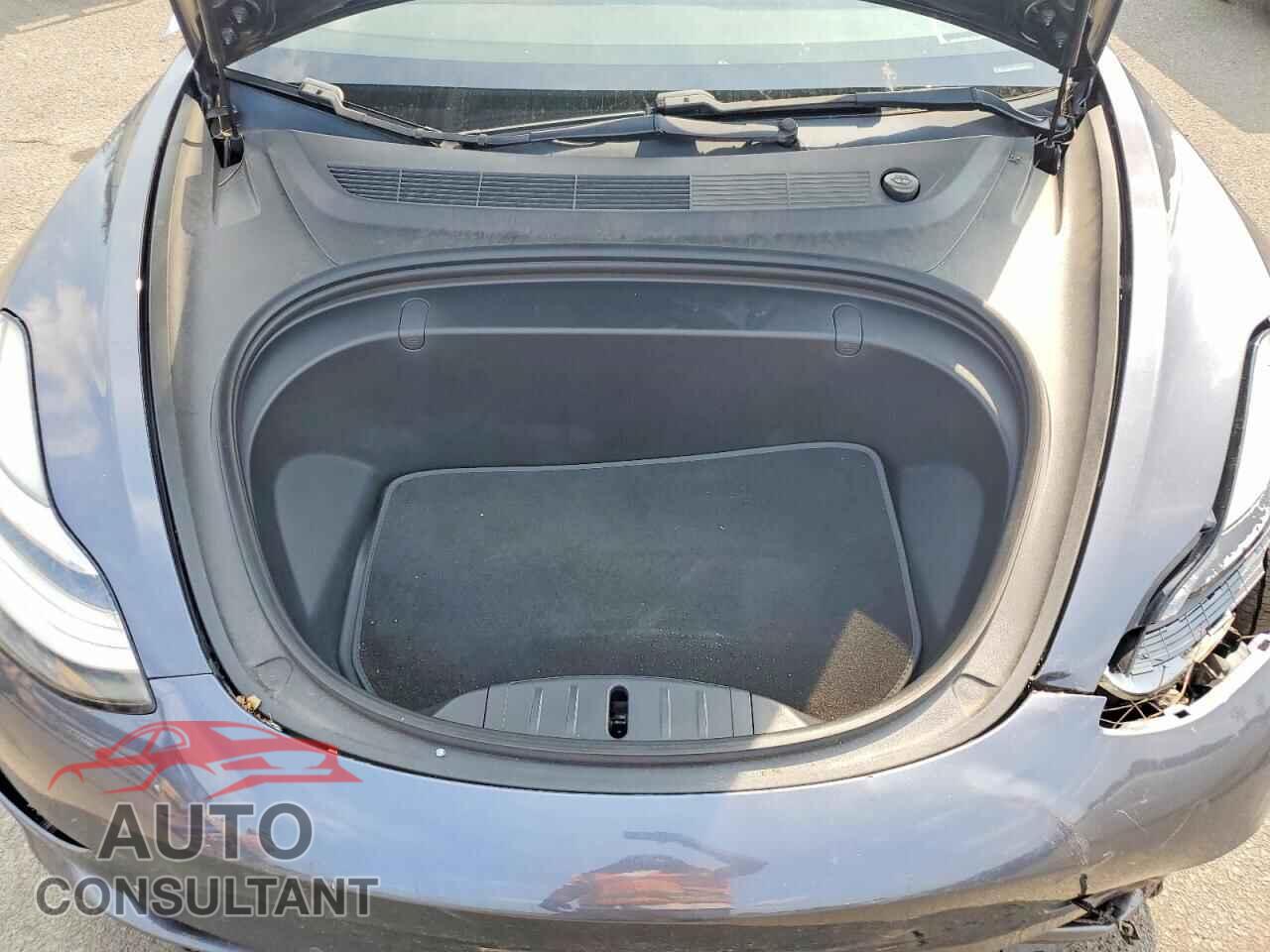 TESLA MODEL 3 2019 - 5YJ3E1EB3KF205704