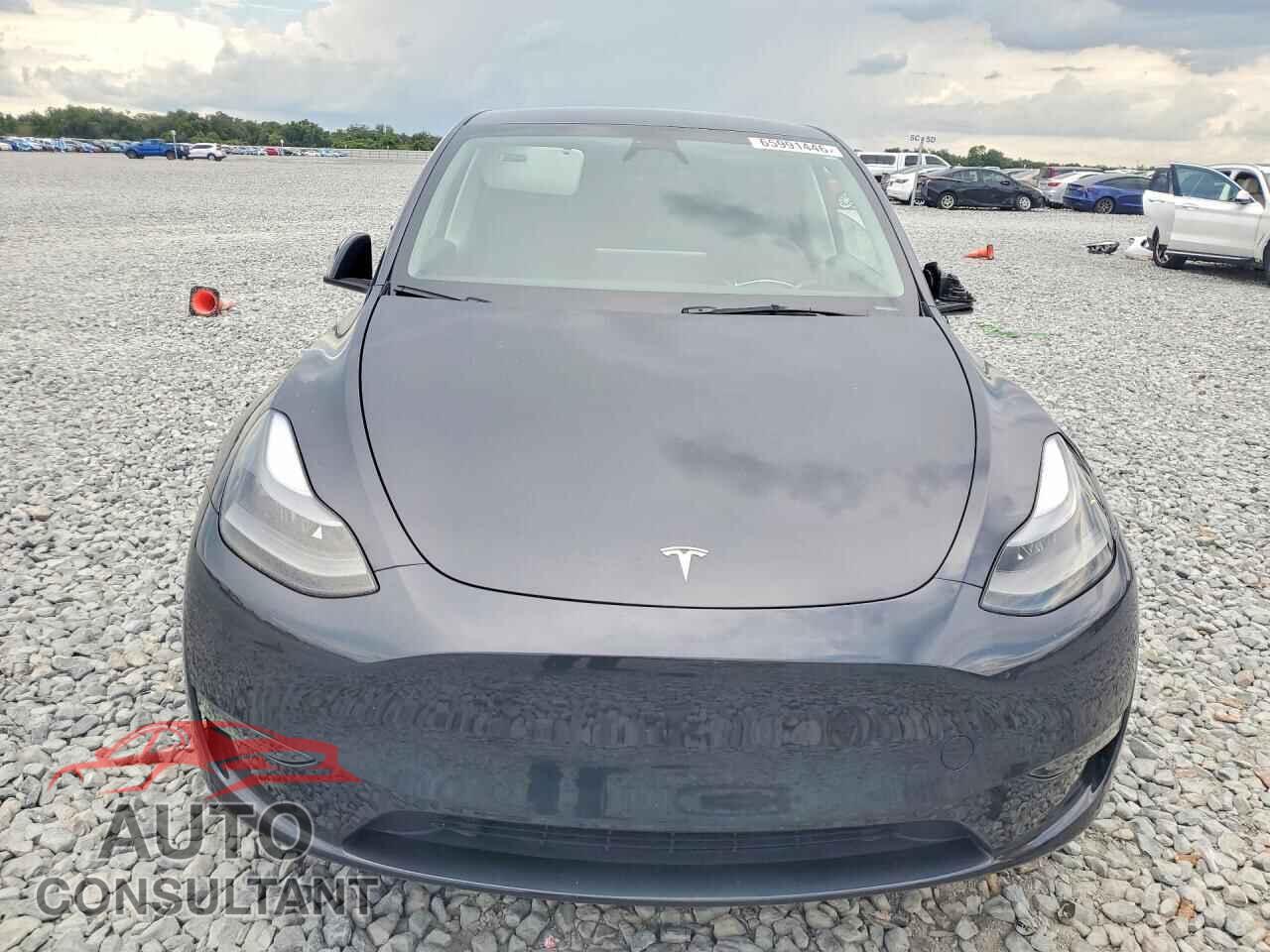 TESLA MODEL Y 2024 - 7SAYGDED2RF098189