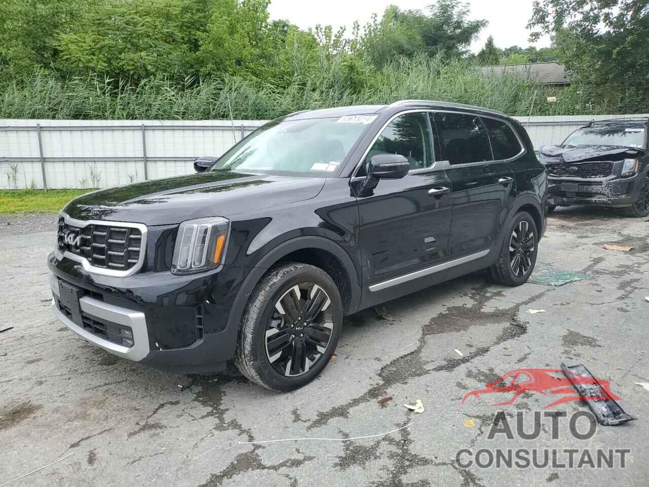 KIA TELLURIDE 2023 - 5XYP5DGC6PG345559