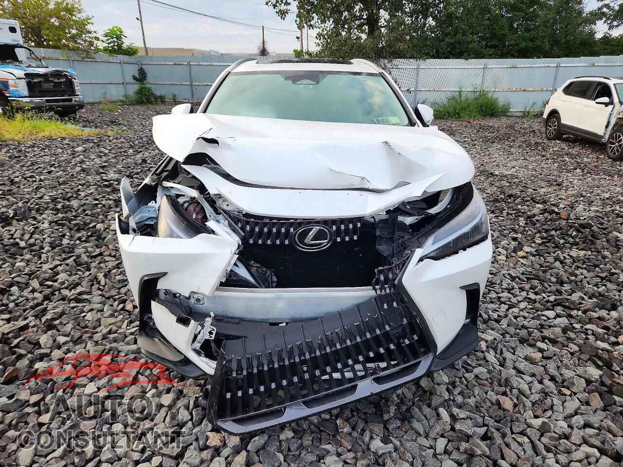 LEXUS NX 2025 - 2T2ADCEZ9SC005509