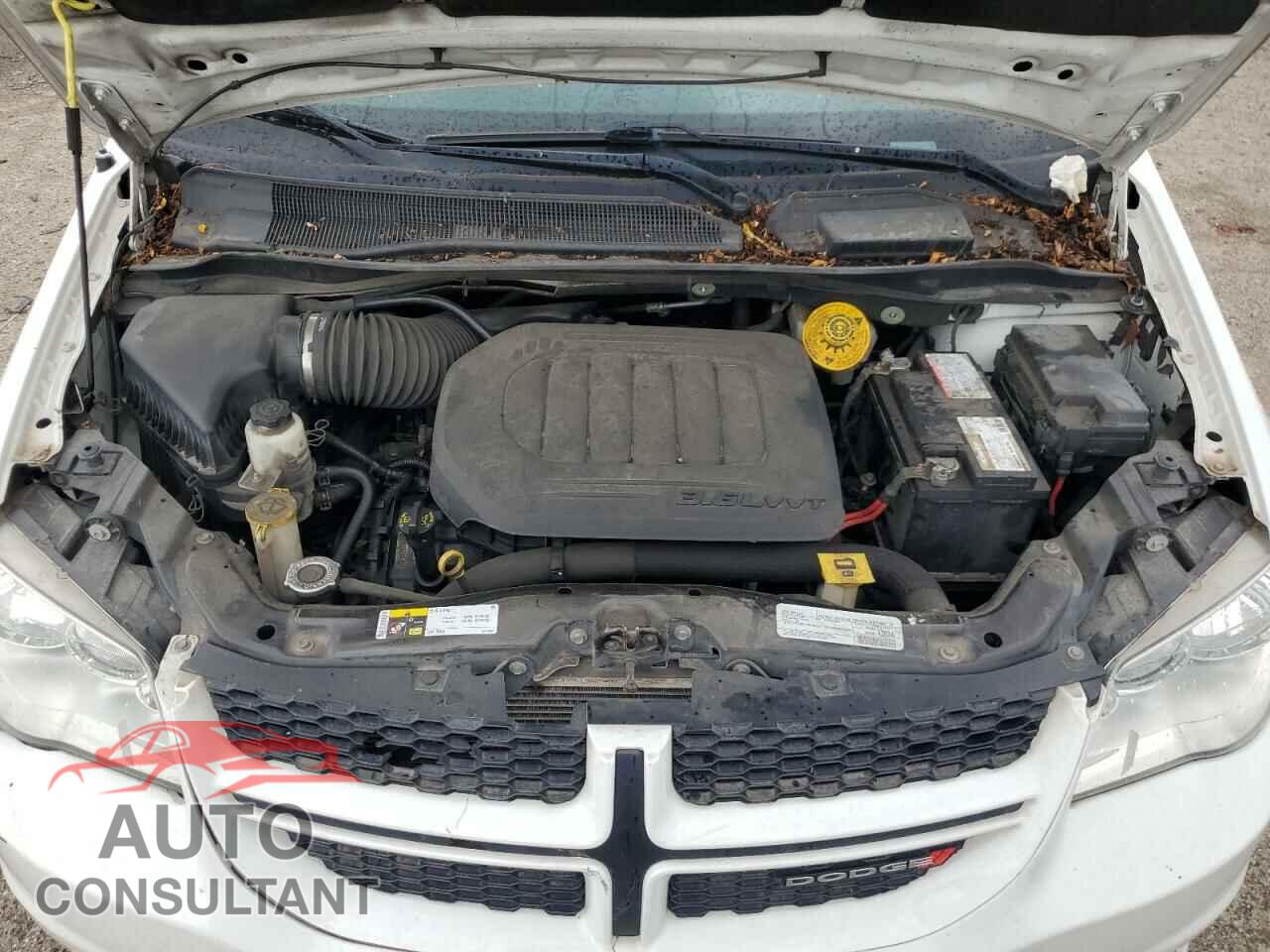 DODGE CARAVAN 2019 - 2C4RDGCG7KR773814