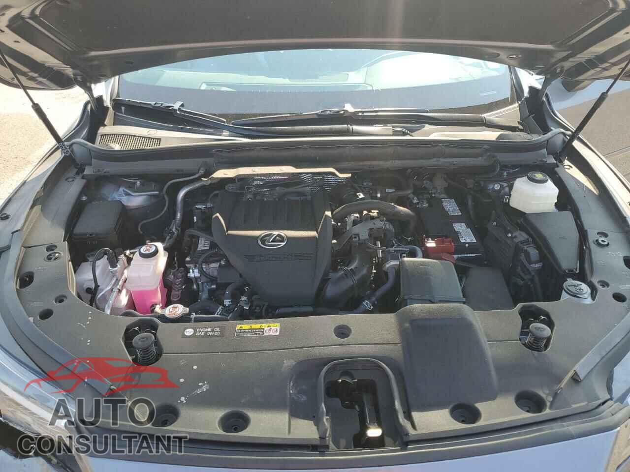 LEXUS RX350 2023 - 2T2BAMCAXPC022780