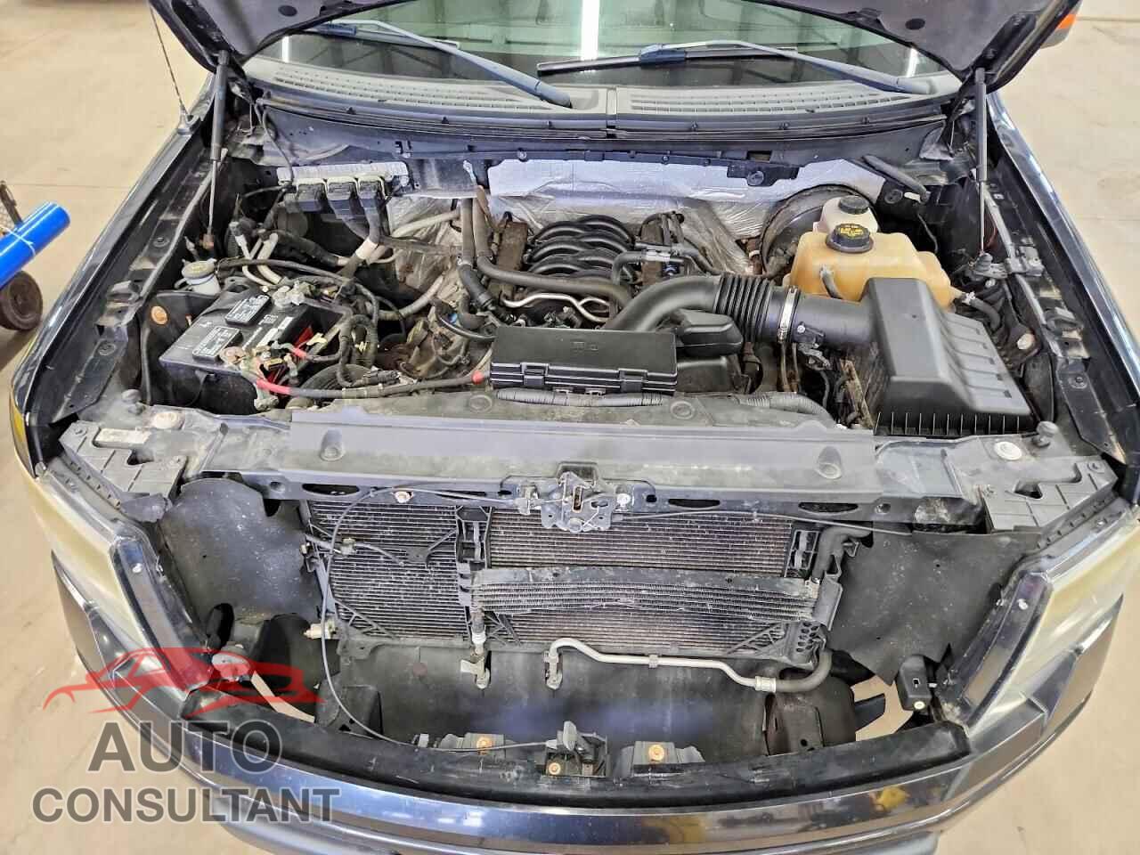 FORD F150 2013 - 1FTFX1CF8DFA50966