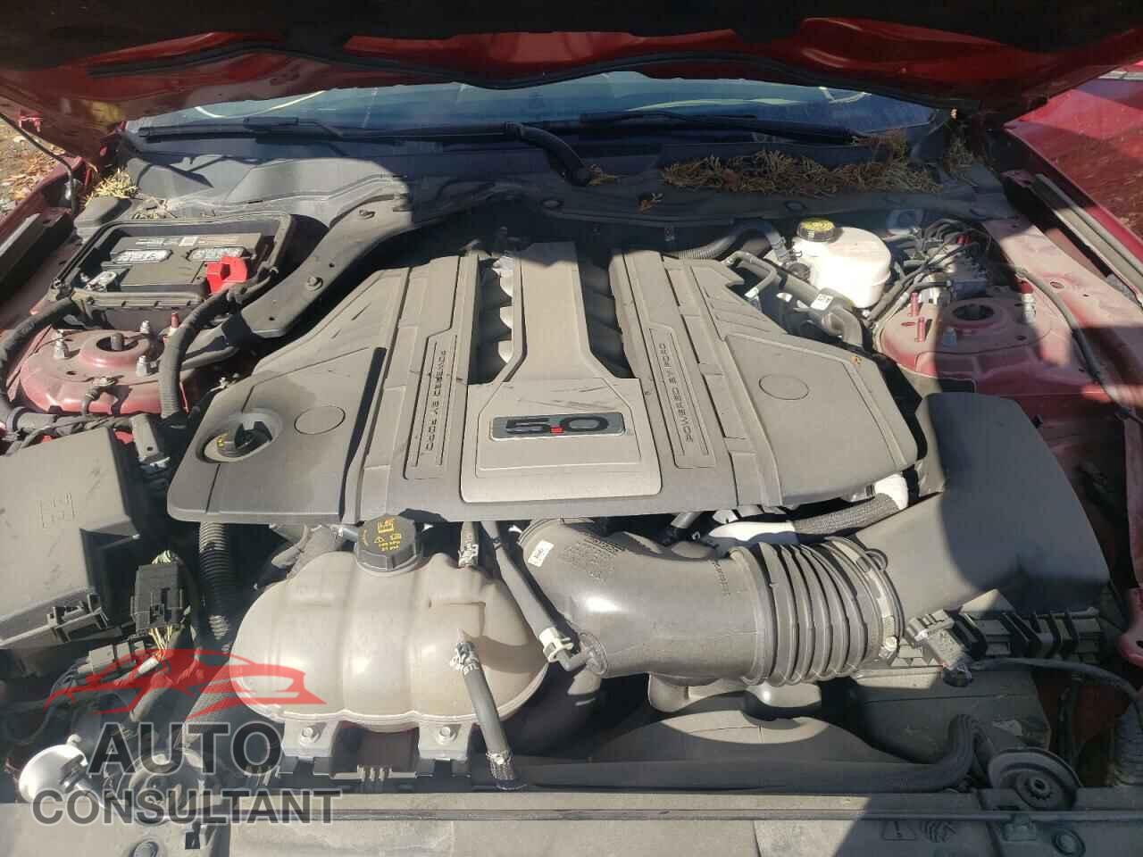FORD MUSTANG 2018 - 1FA6P8CF8J5159105