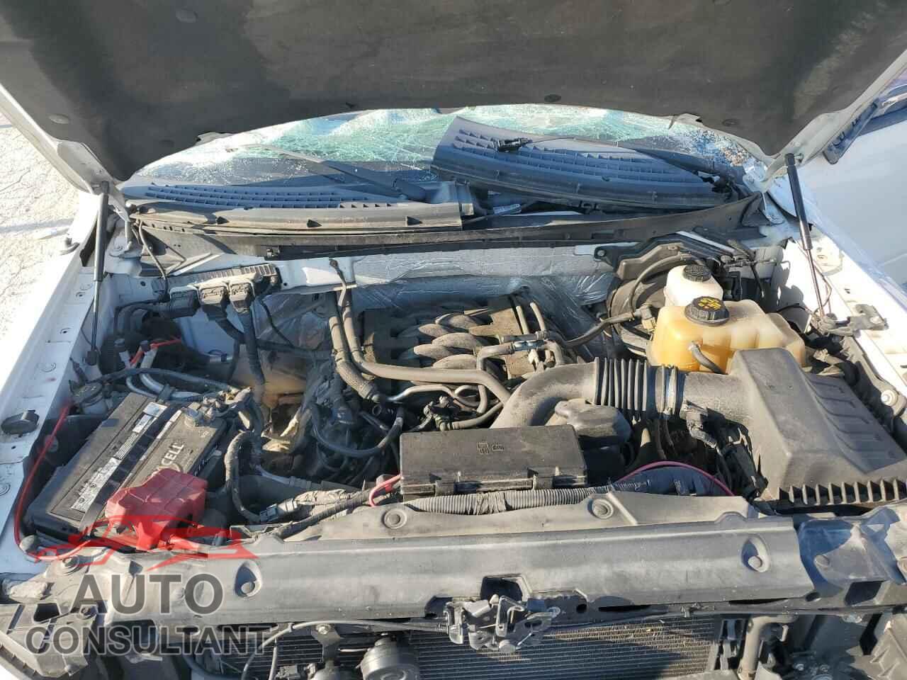 FORD F-150 2013 - 1FTFX1EF2DFA28751