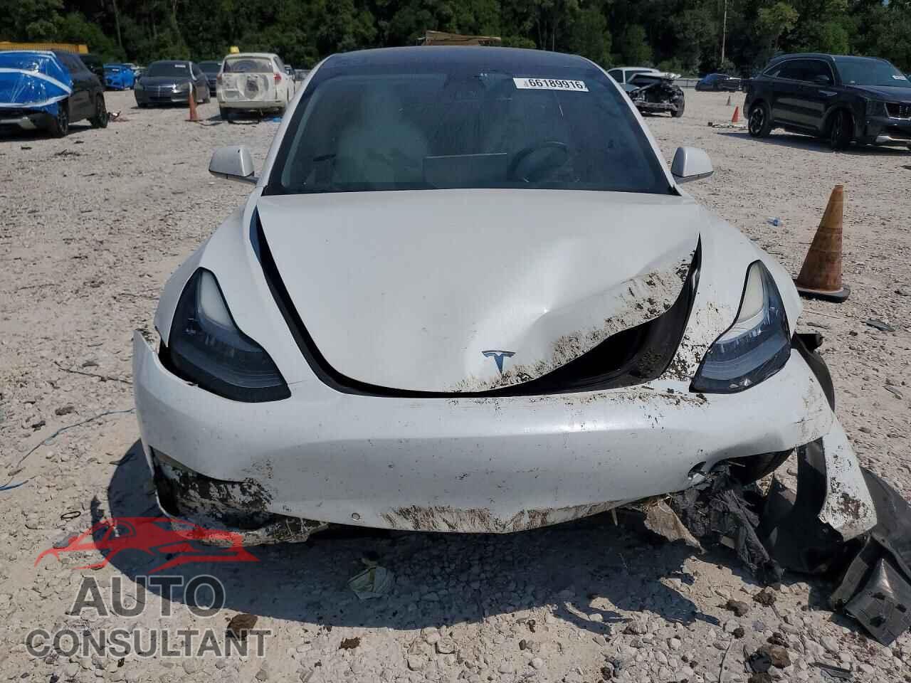 TESLA MODEL 3 2019 - 5YJ3E1EA4KF302420