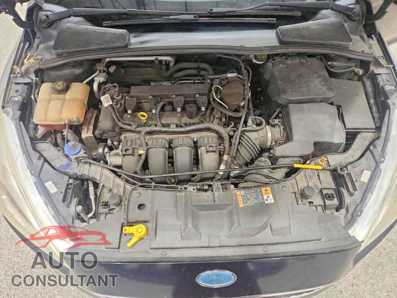 FORD FOCUS 2016 - 1FADP3K21GL272083