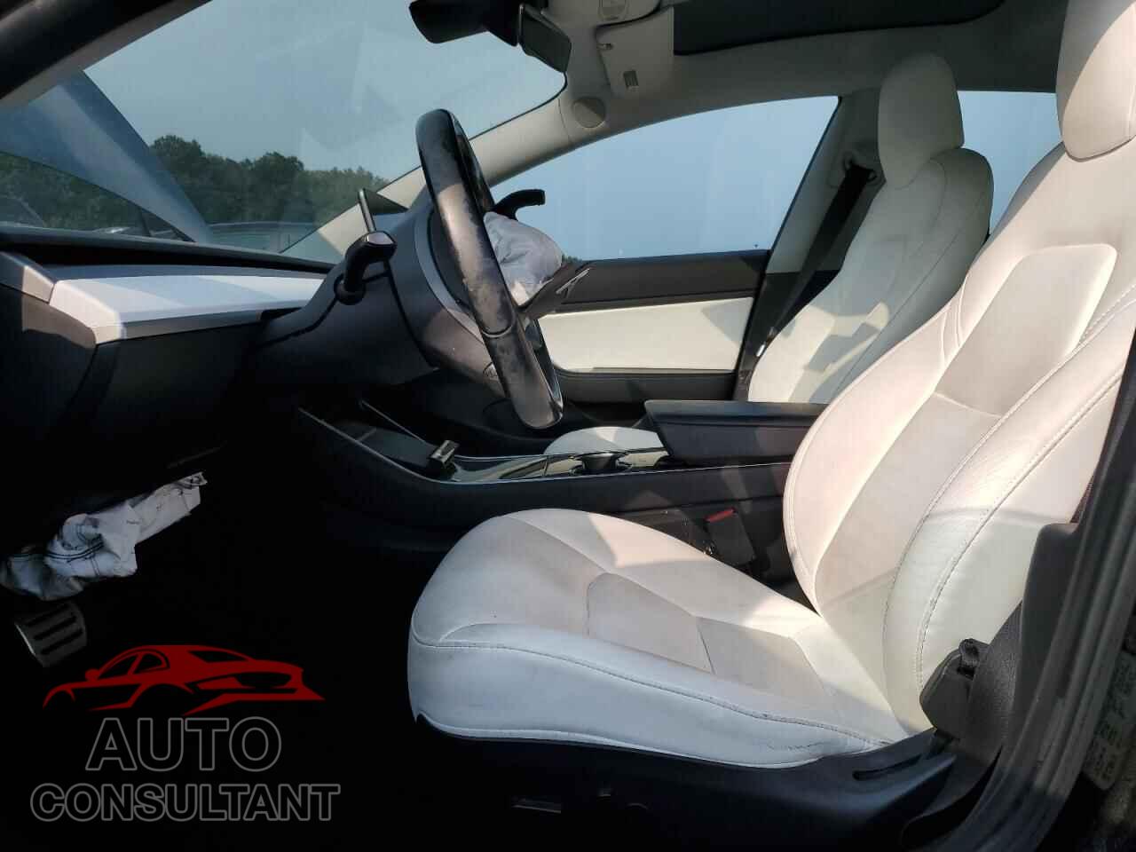 TESLA MODEL 3 2019 - 5YJ3E1EA8KF301609