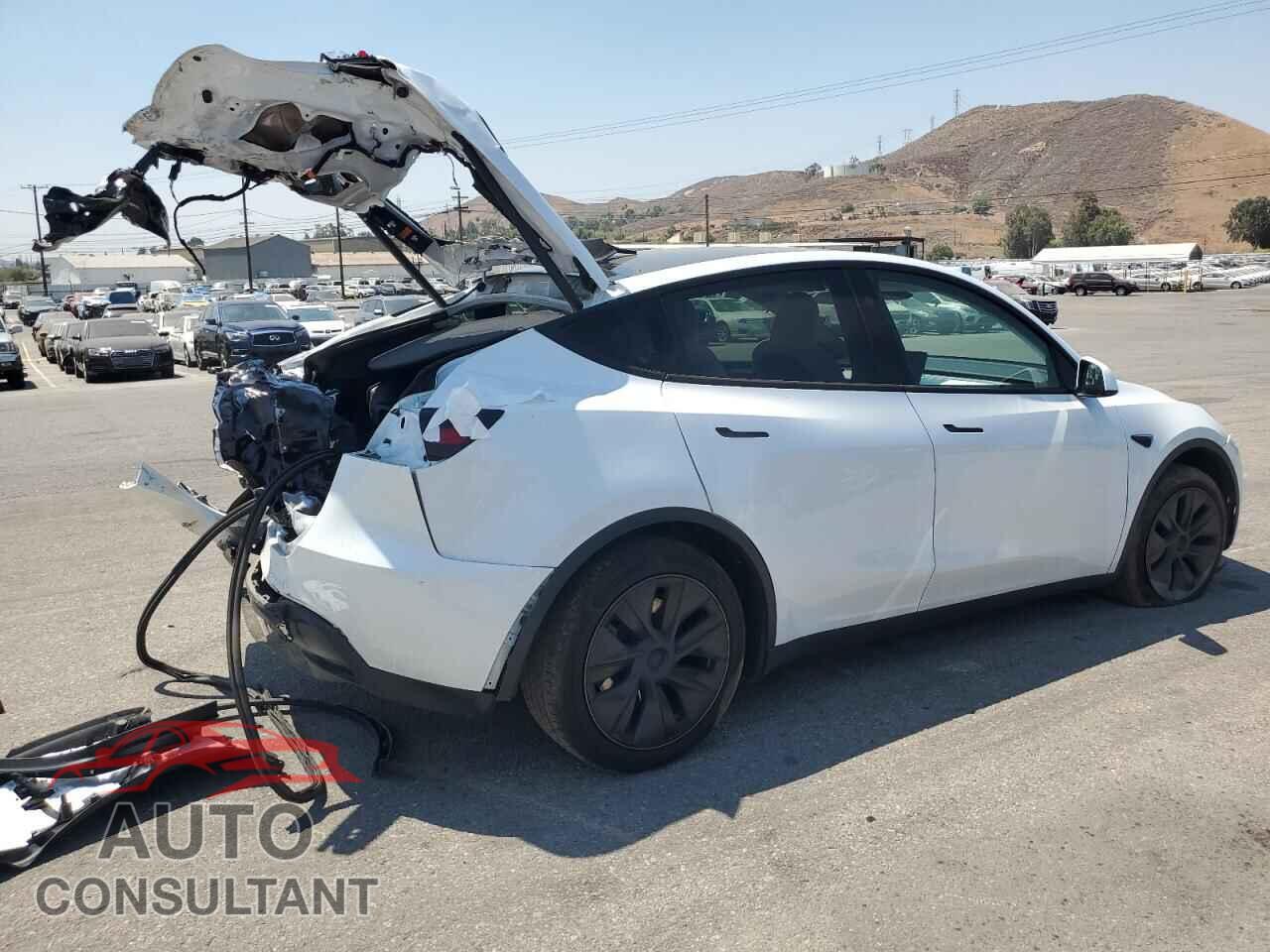 TESLA MODEL Y 2024 - 7SAYGDEE6RF127377
