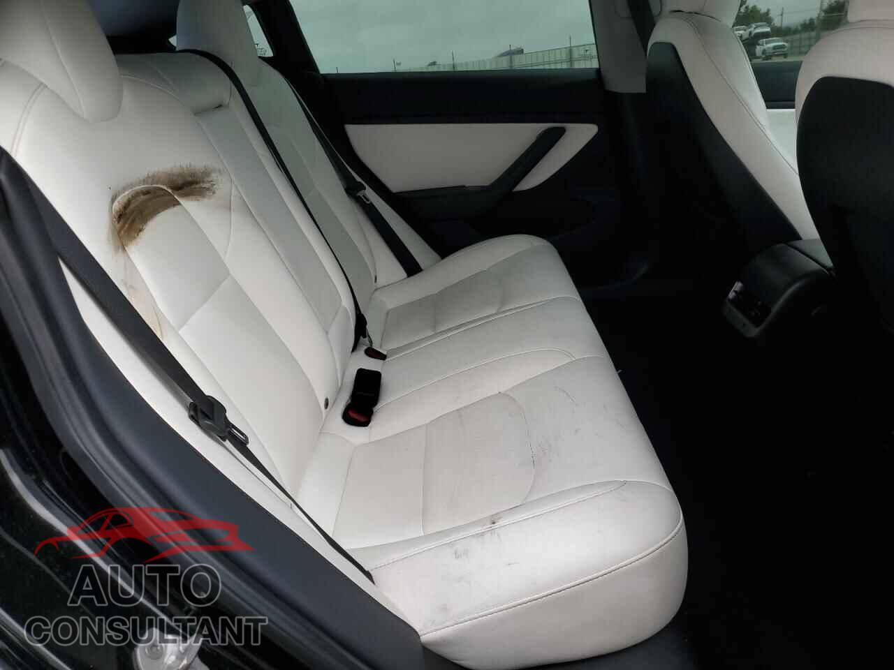 TESLA MODEL 3 2019 - 5YJ3E1EA5KF302278