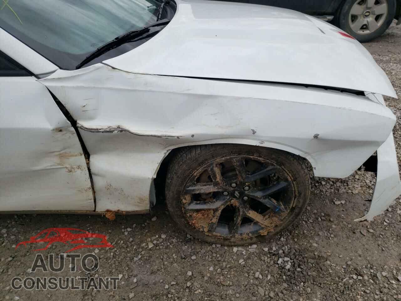 DODGE CHALLENGER 2019 - 2C3CDZBT9KH512131