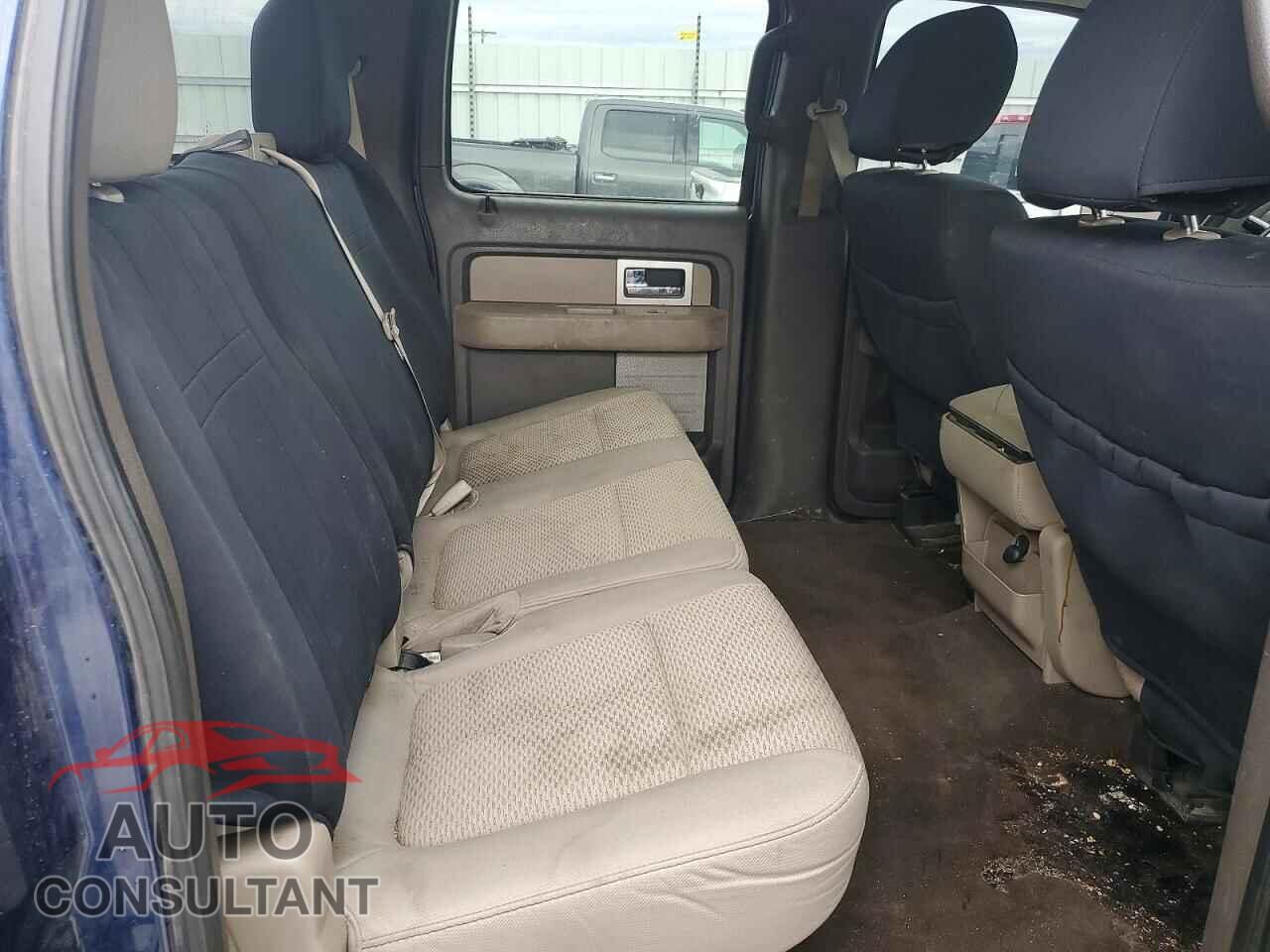 FORD F150 2010 - 1FTEW1E82AFD34490