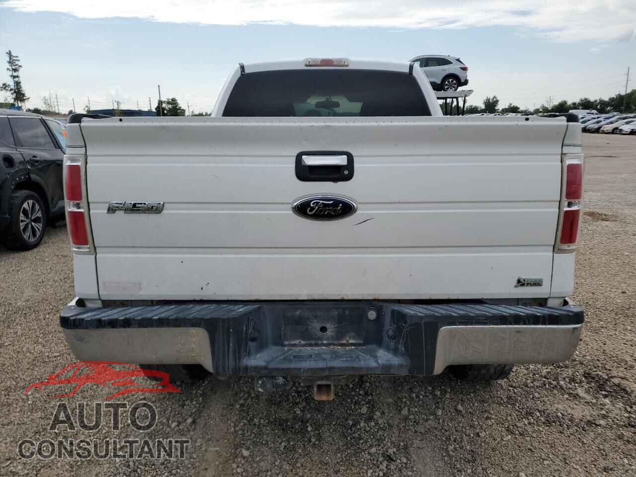 FORD F-150 2010 - 1FTFX1EV4AFA21500