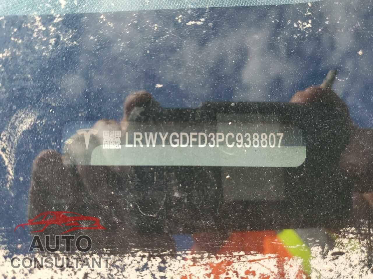 TESLA MODEL Y 2023 - LRWYGDFD3PC938807