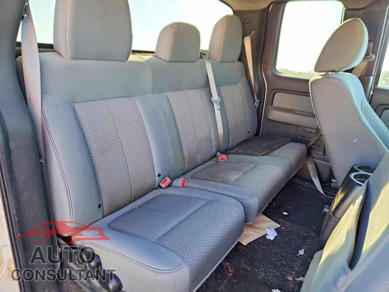 FORD F150 2011 - 1FTFX1EF1BFA04101
