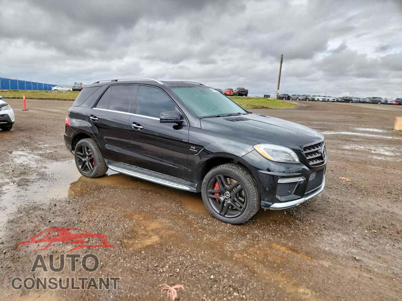 MERCEDES-BENZ M-CLASS 2012 - 4JGDA7EB7CA043312