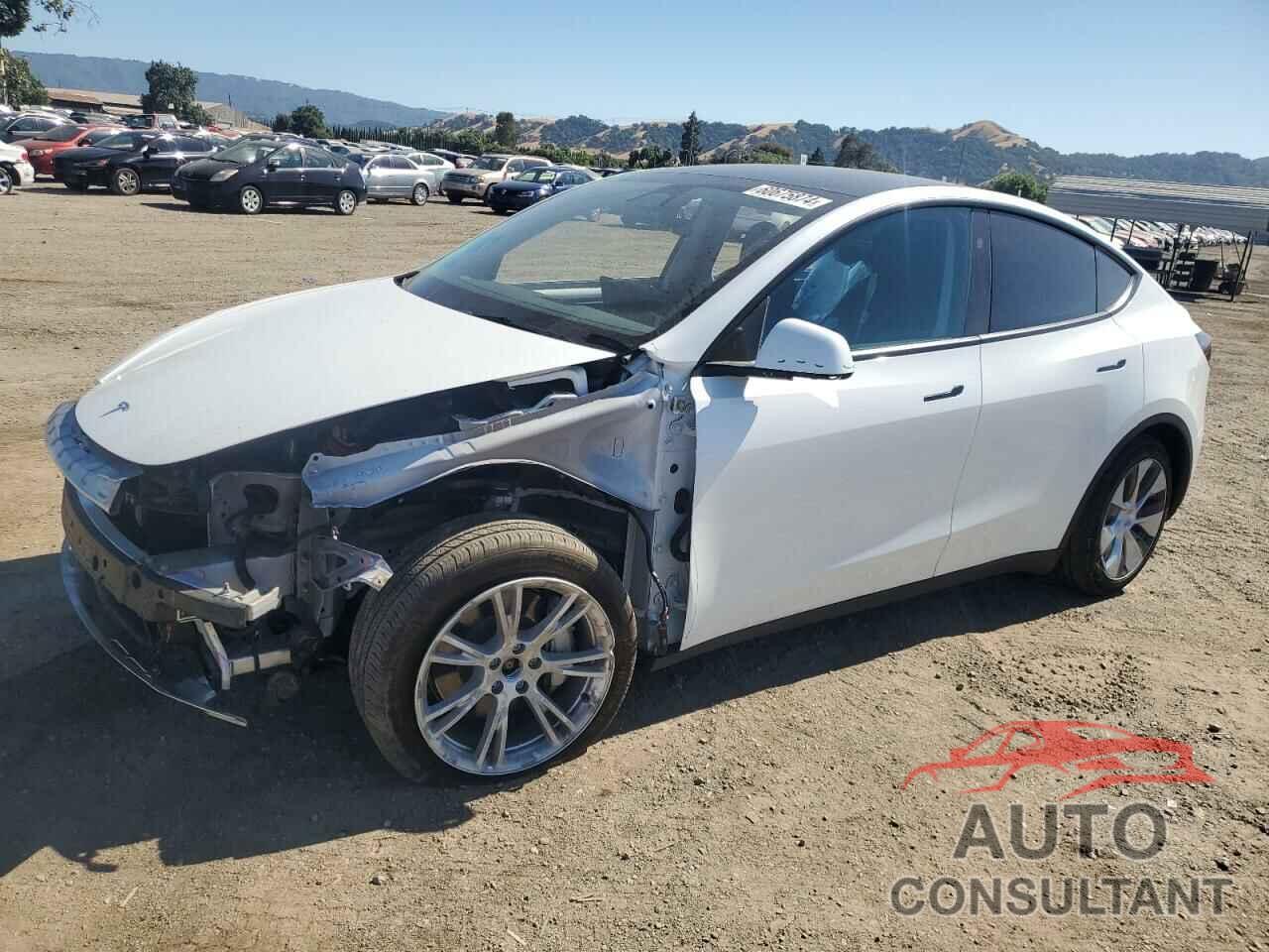 TESLA MODEL Y 2023 - 7SAYGDEE8PF823686