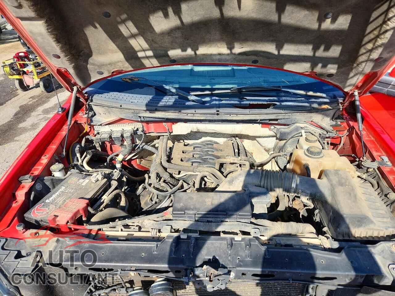 FORD F150 2011 - 1FTFW1EF4BKD01101