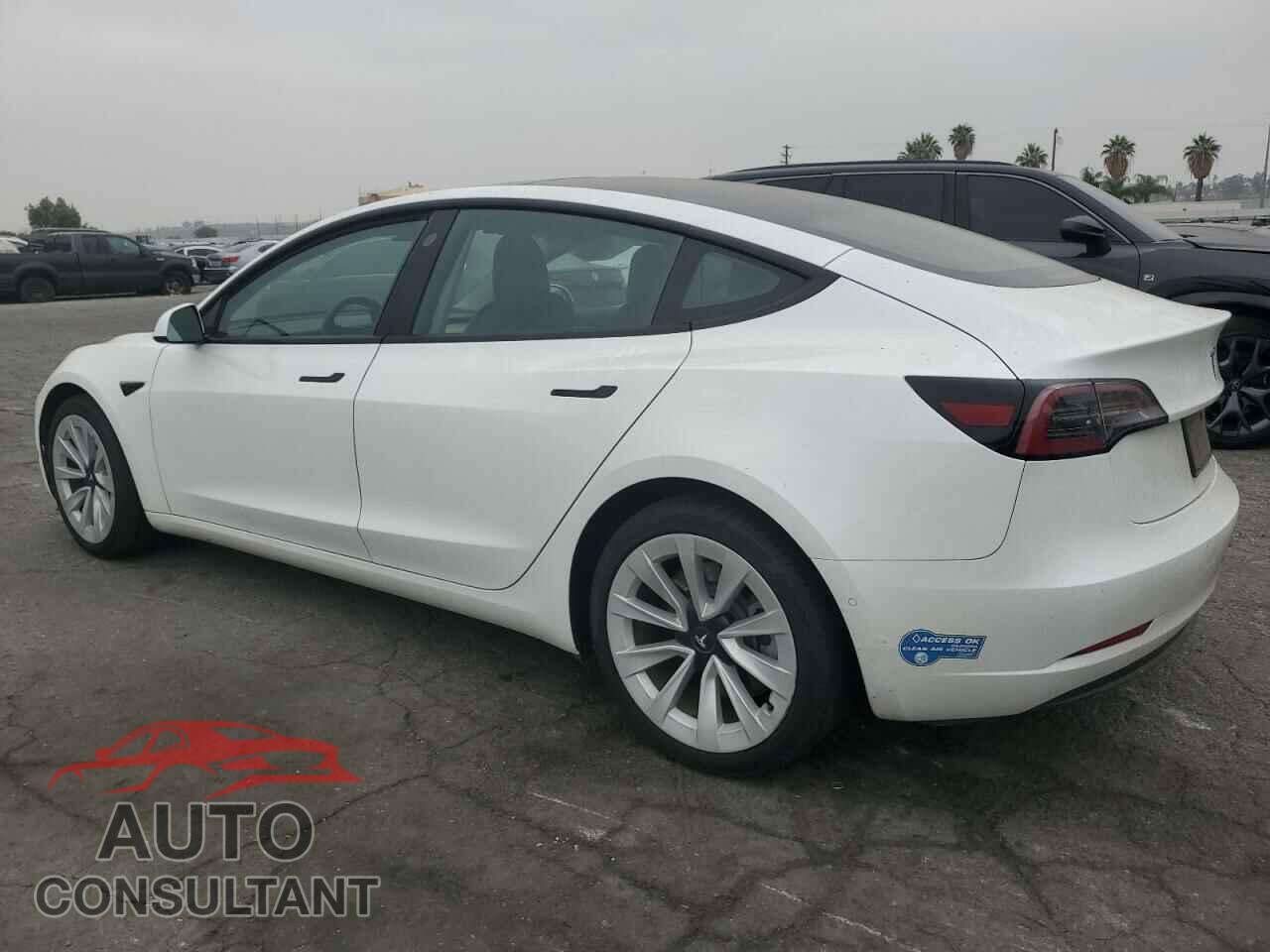 TESLA MODEL 3 2021 - 5YJ3E1EA1MF028709