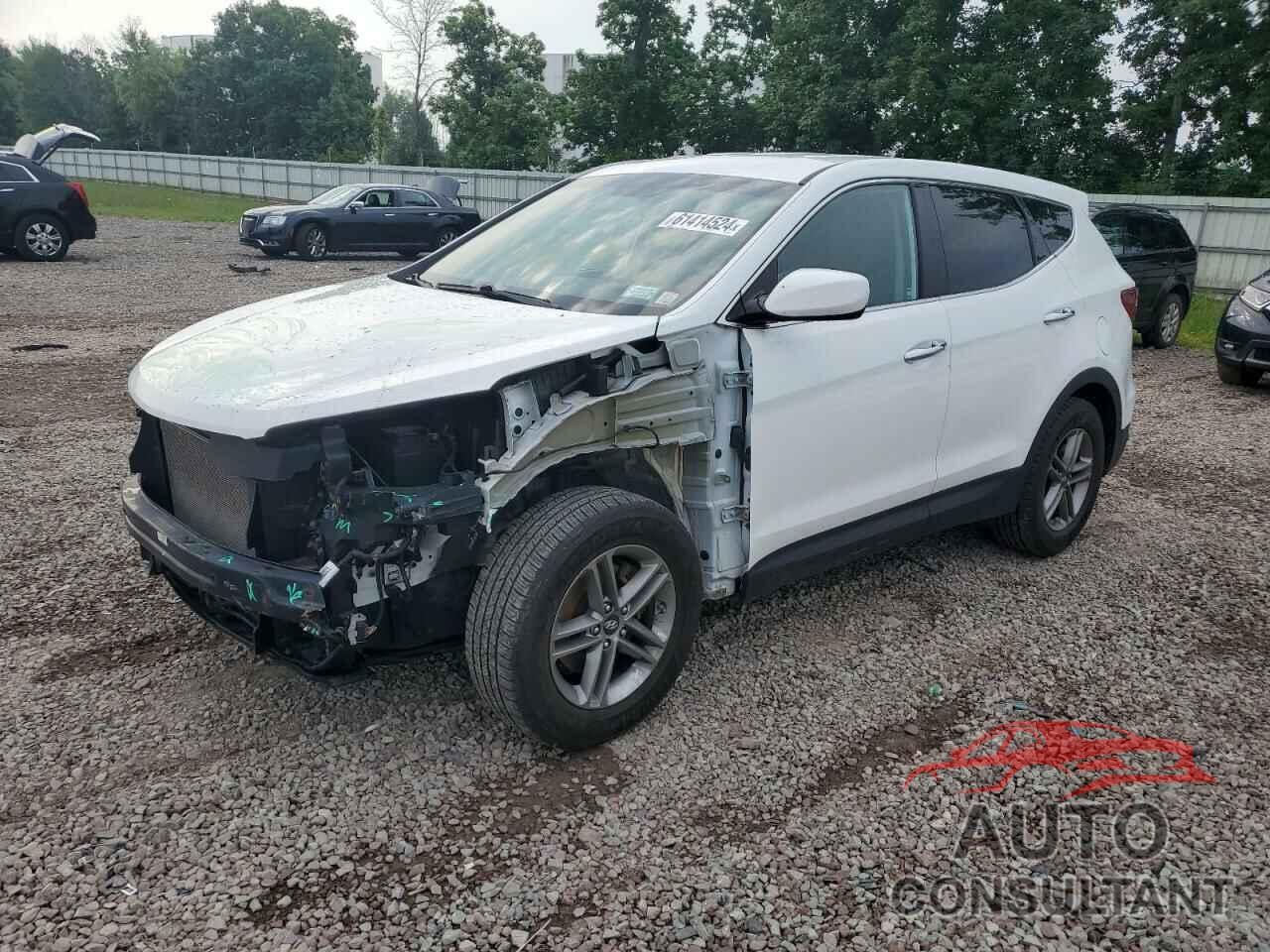 HYUNDAI SANTA FE 2017 - 5NMZTDLB3HH010603