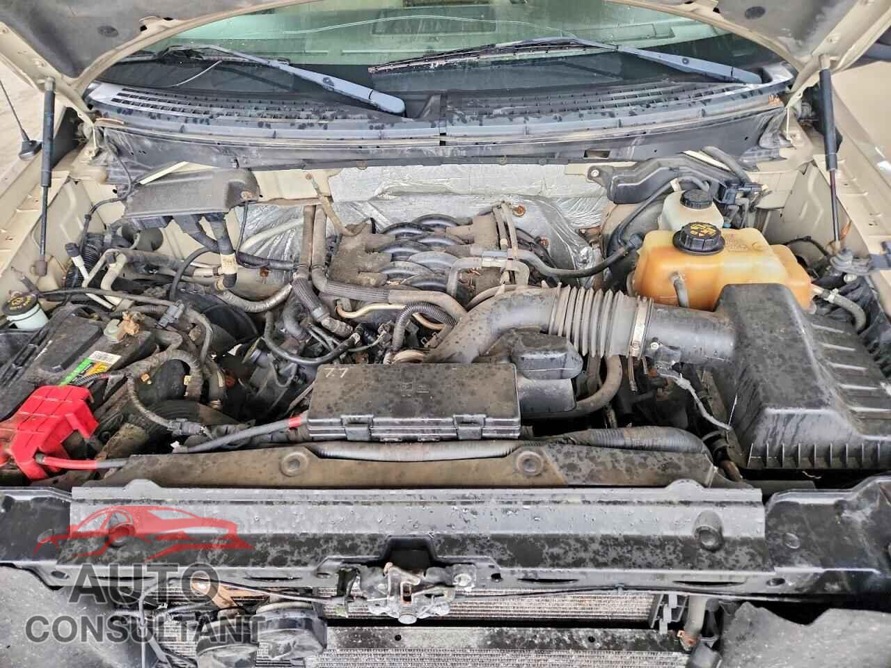 FORD F150 2011 - 1FTFW1EF6BFB15701