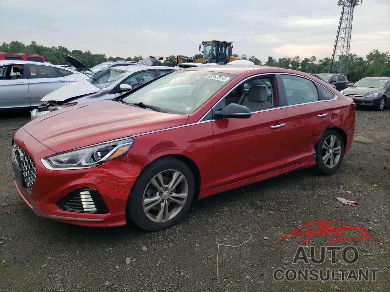 HYUNDAI SONATA 2019 - 5NPE34AF7KH787123