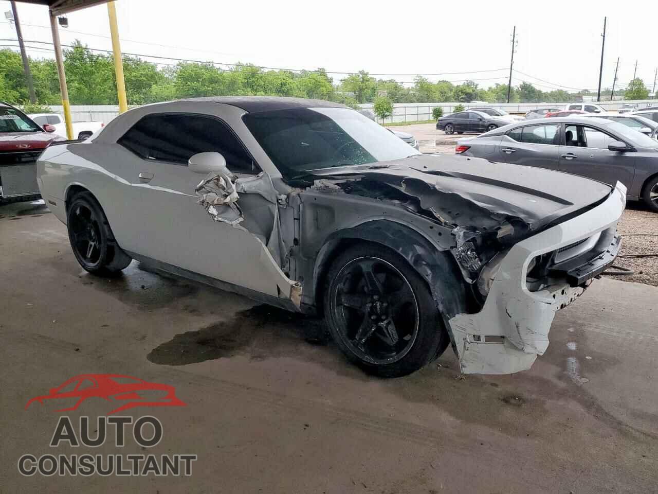 DODGE CHALLENGER 2013 - 2C3CDYBT2DH593597