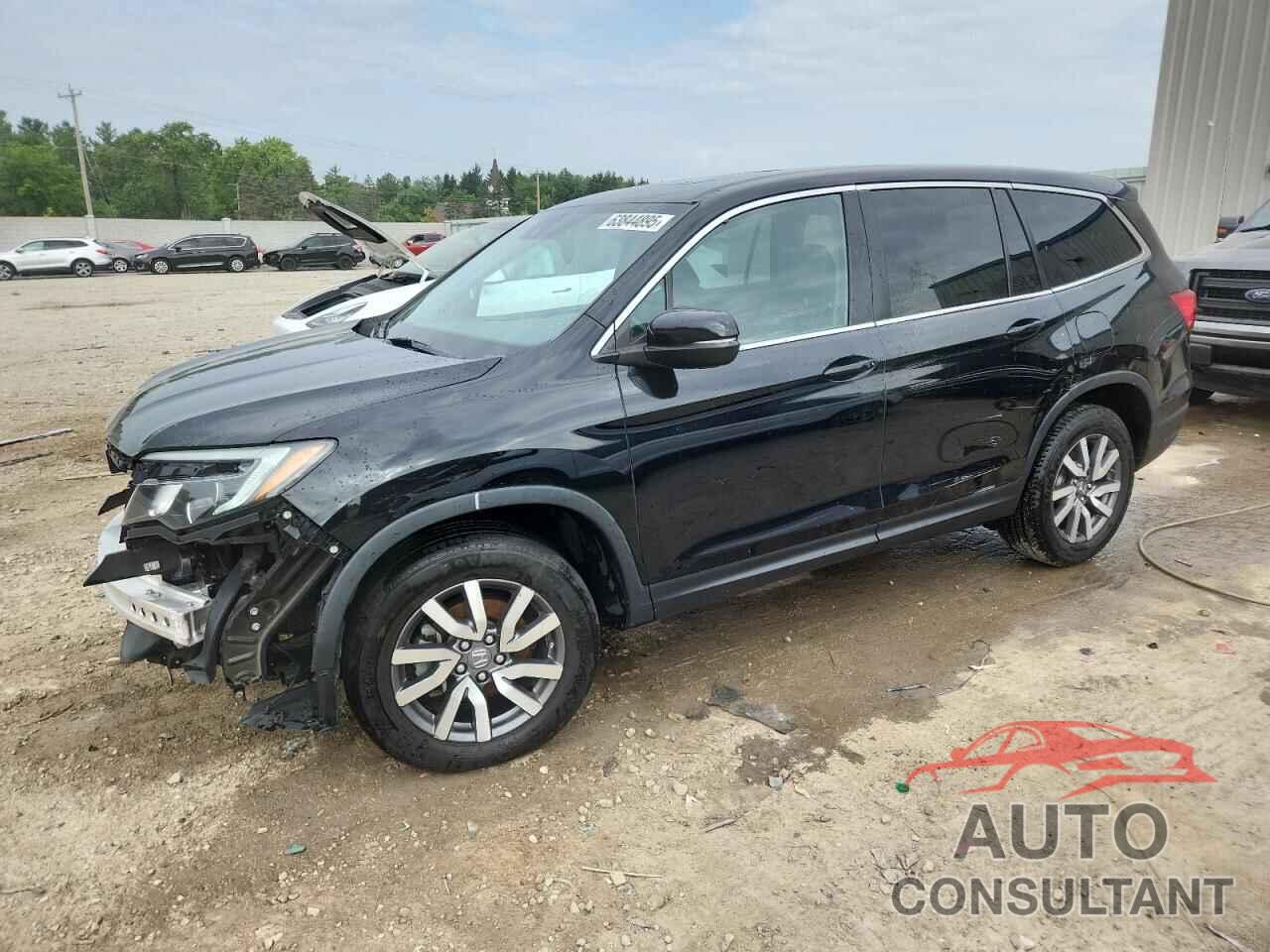 HONDA PILOT 2019 - 5FNYF6H56KB059787