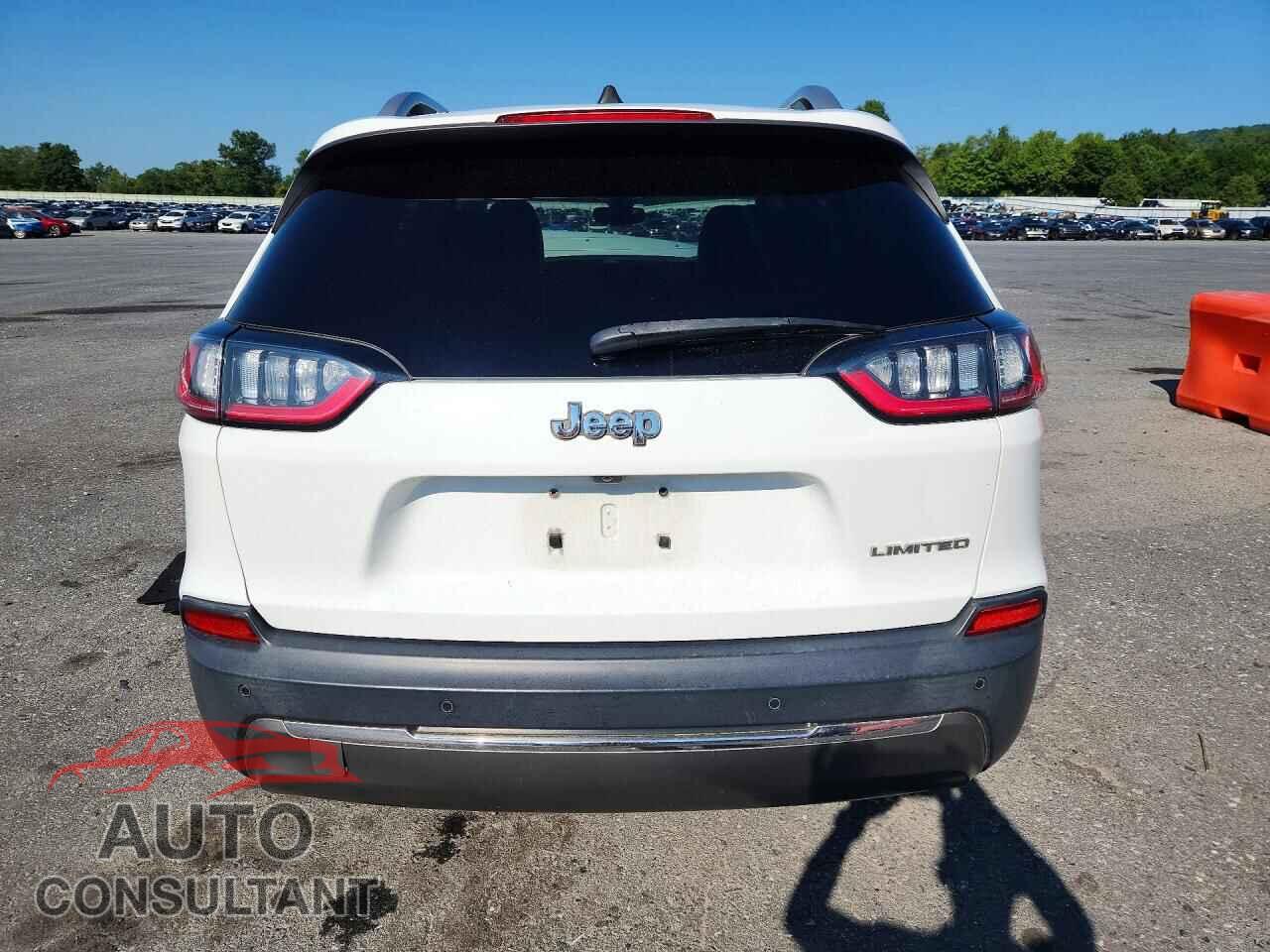 JEEP CHEROKEE 2019 - 1C4PJLDB9KD184052