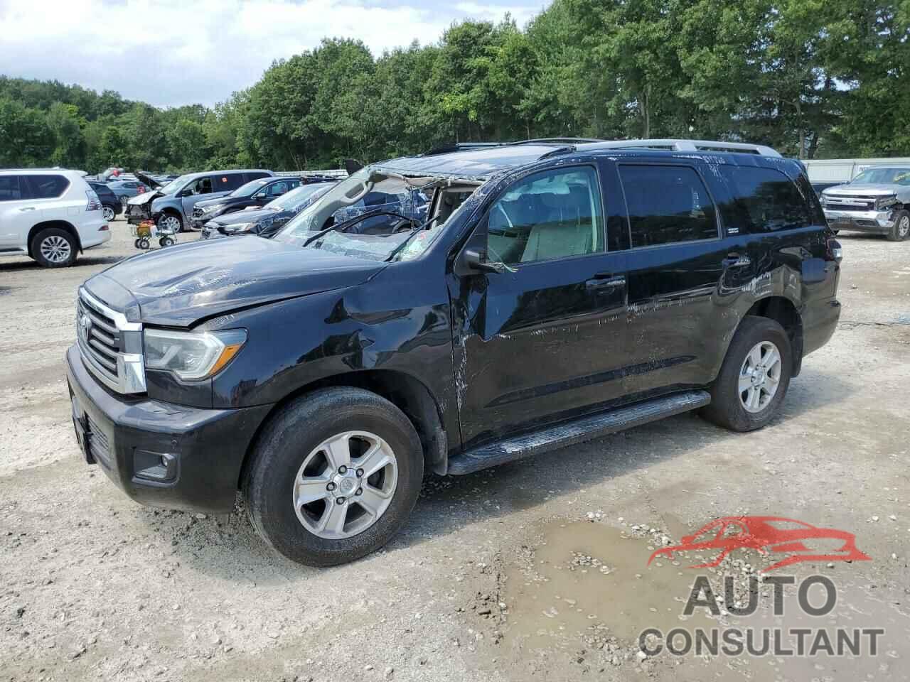 TOYOTA SEQUOIA 2019 - 5TDBY5G14KS173520