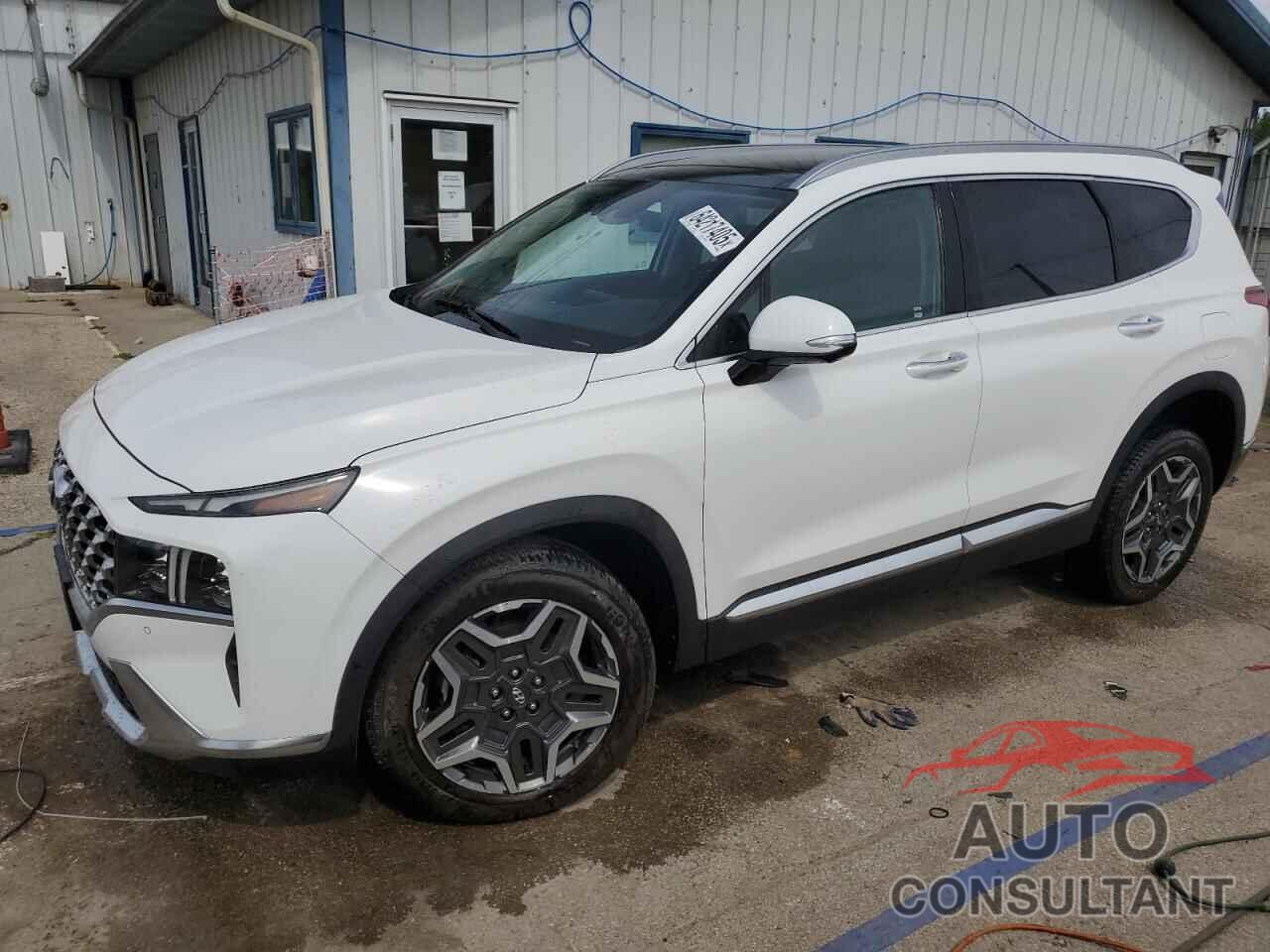 HYUNDAI SANTA FE 2023 - 5NMS4DAL4PH531189