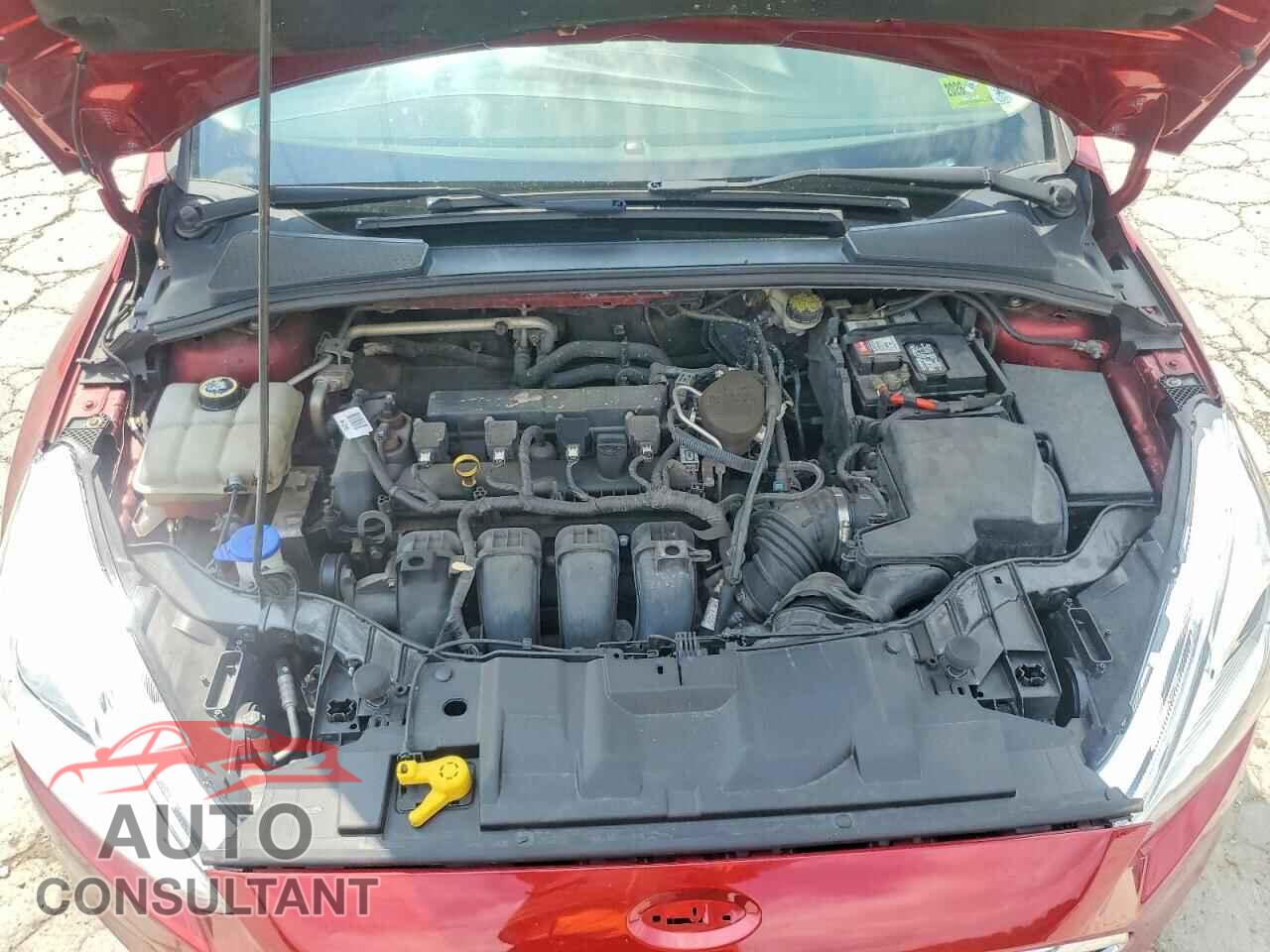 FORD FOCUS 2015 - 1FADP3K21FL372005