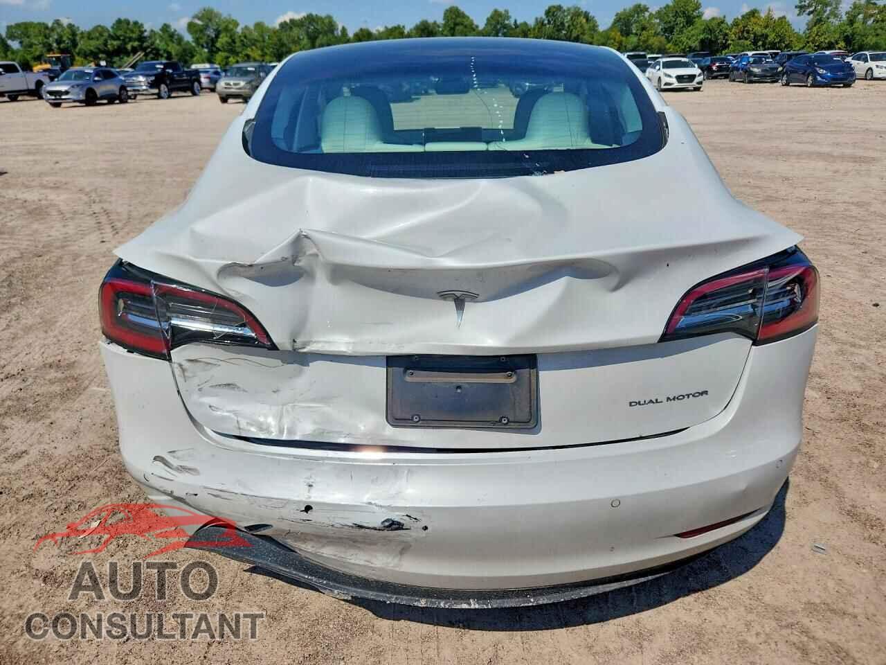 TESLA MODEL 3 2021 - 5YJ3E1EB7MF010224